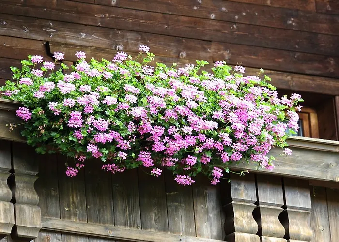 Gletscher-landhaus Brunnenkogel Guest house